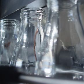 Solutions Food and Beverage